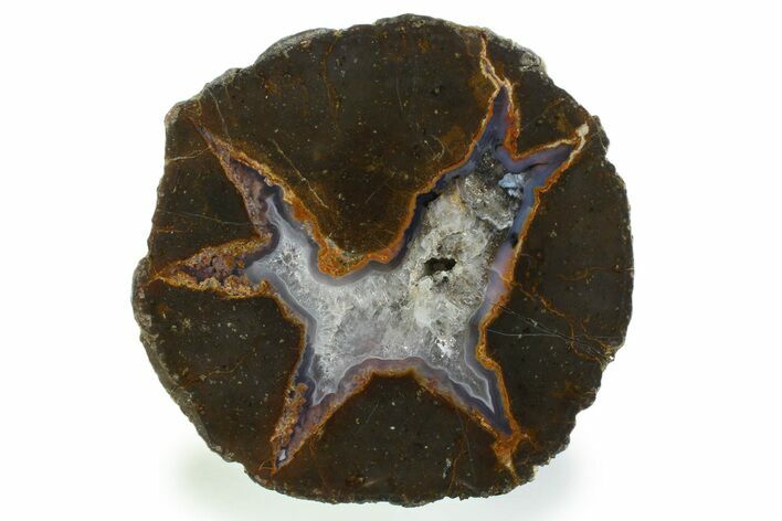 Colorful Polished Thunderegg Half - Nevada #337765